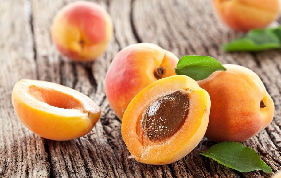 هسته زردآلو سمی است ، به این دلایل آن‌را نخورید