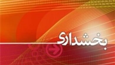 بخشدار