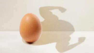 تخم مرغ