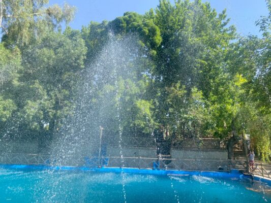 تفرجگاه شیراز 4