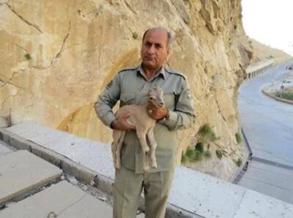 دستگیری یکی از عوامل شهادت محیط‌بان کهگیلویه و بویراحمدی؛ اسلحه و تجهیزات شهید کشف شد