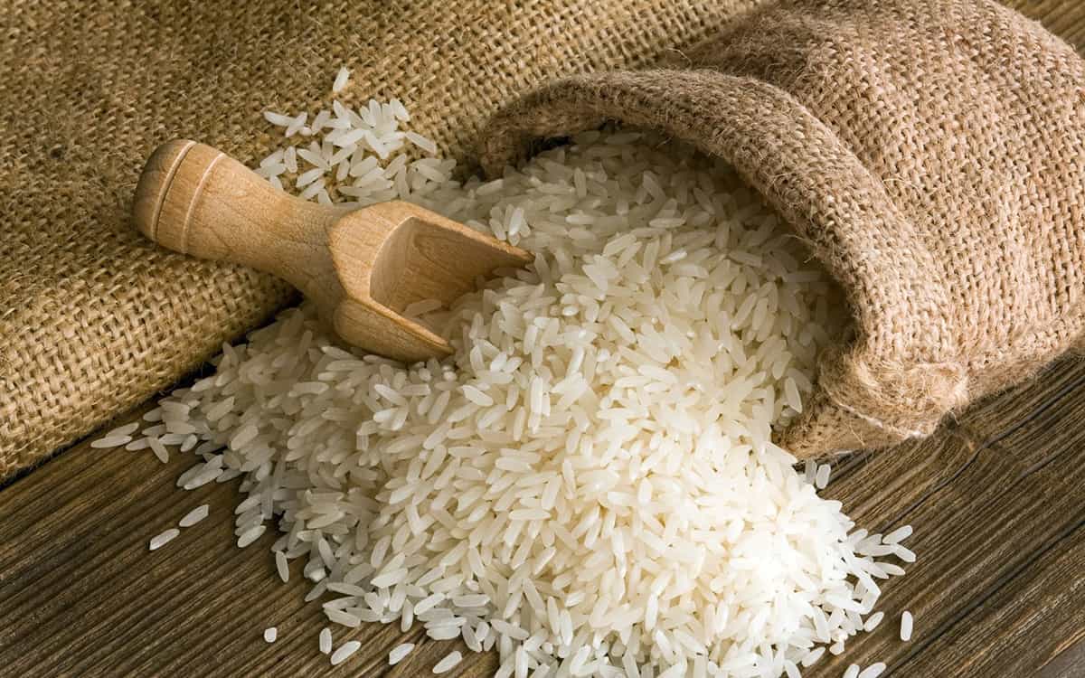 تنظیم بازار برنج کلید خورد: سازمان تعاون روستایی خرید همه ارقام برنج کشاورزان را آغاز کرد