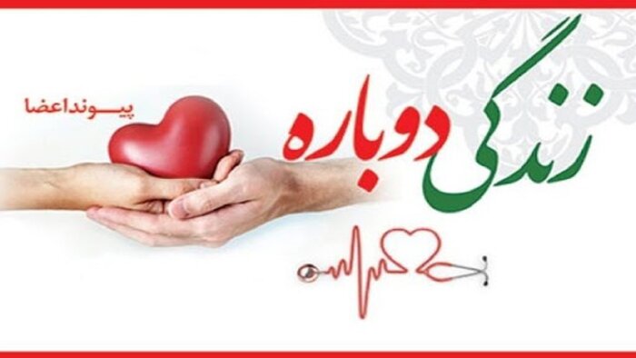 سرباز وظیفه پليس راهور شیراز به چند بيمار زندگی بخشيد؛ روحش شاد