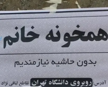 از پیدا کردنِ «شریک جنسی» تا «همدم سالمند»/ همخانه شدن چقدر خرج دارد؟ وُیس و عکس بفرست