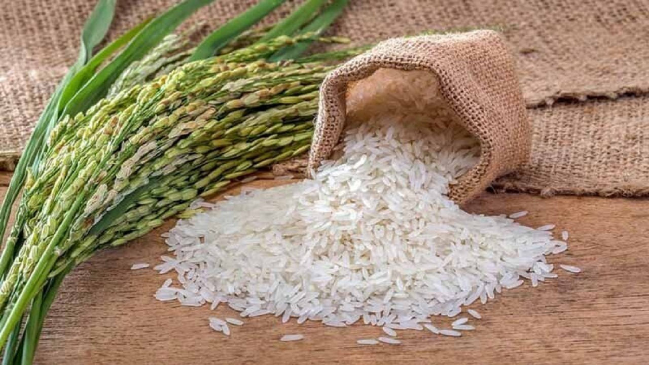 14 روش برای تشخیص برنج اصیل و خوش‌پخت ایرانی