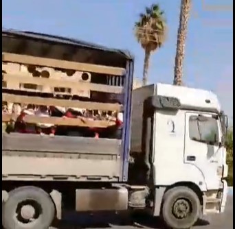 فیلم جابه‌جایی دانش‌آموزان یک مدرسه با کامیون در جهرم