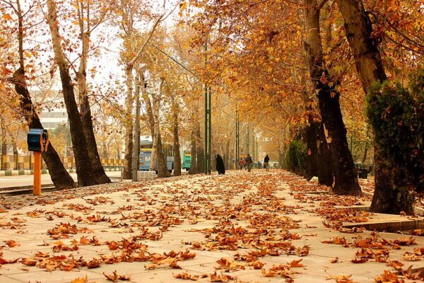 هواشناسی استان فارس: تا ۱۰ روز آینده از بارندگی خبری نیست