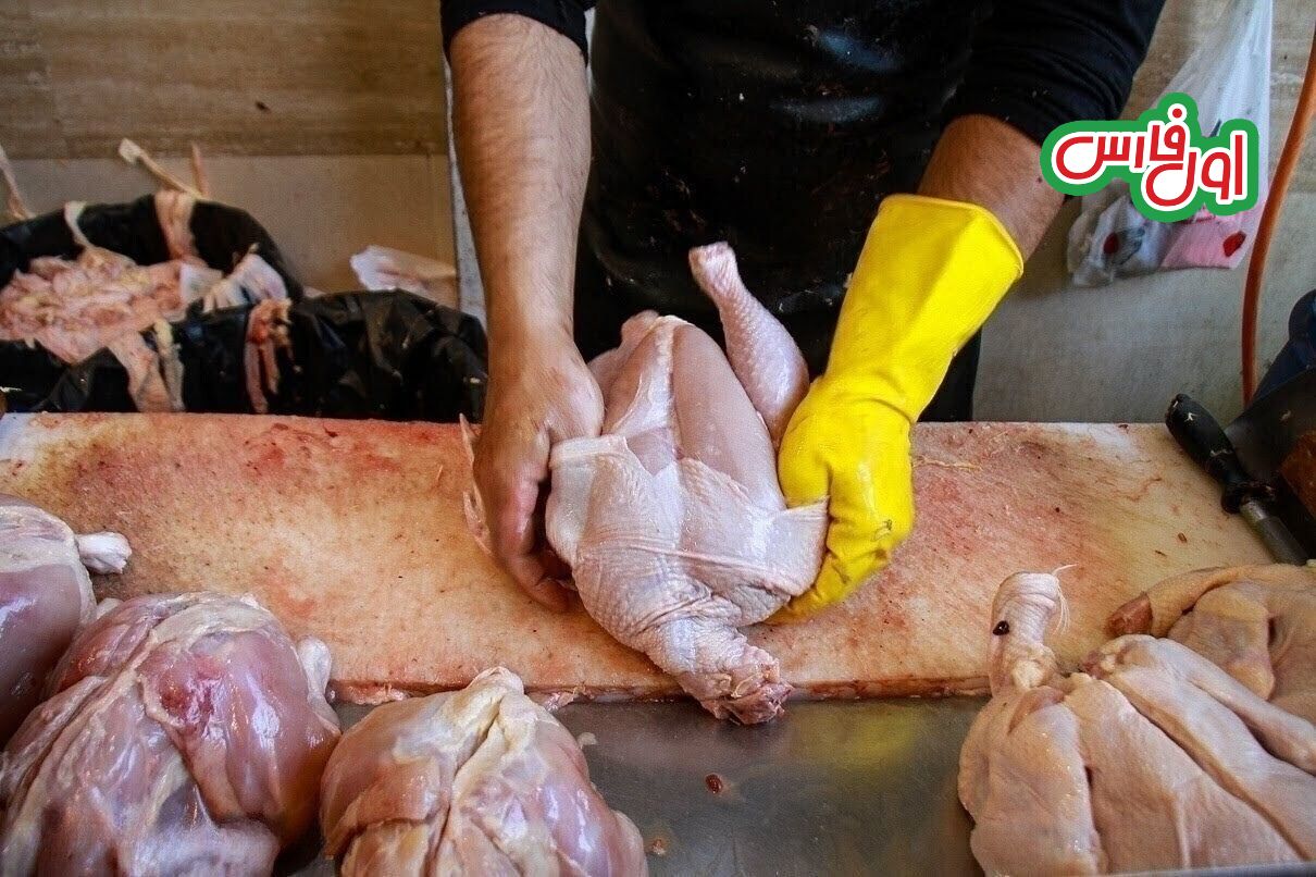 مرغ‌ها هم گرسنه اند /سفره خانوار از پروتئین و لبنیات خالی است