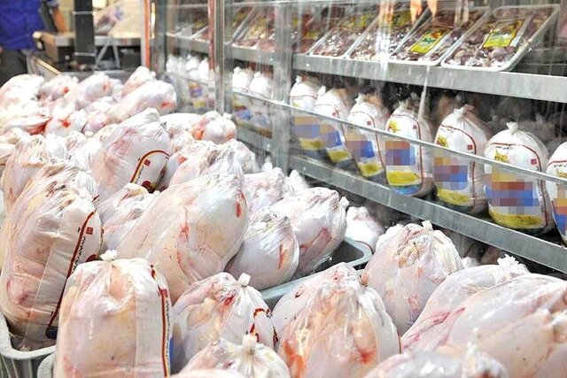 آغاز طرح تولید قراردادی گوشت مرغ در استان فارس