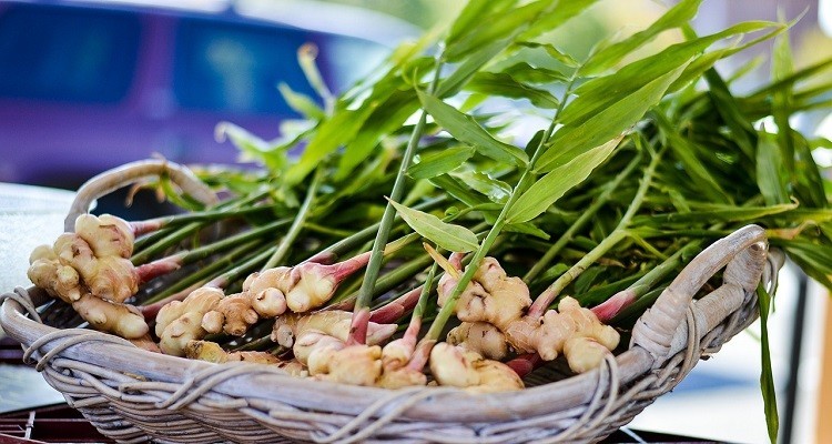 مصرف روزانه زنجبیل چه اثری بر فشار خون دارد؟