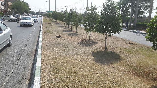 گلایه‌های شهروندان؛ از تأخیر پرداخت کالابرگ تا بحران ترافیک آبادان و آب در یاسوج