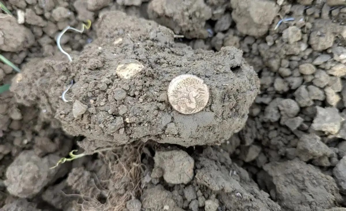 کشف ۱۸ سکه طلای عصر آهن در یک مزرعه