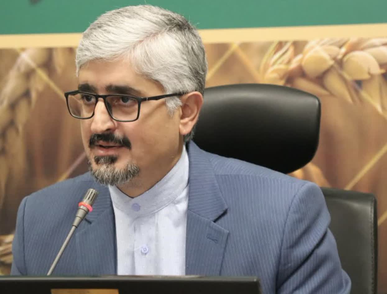 تامین ذخیره اقلام اساسی استان فارس تا چهار ماه آینده|توزیع مرغ منجمد در جنوب شیراز