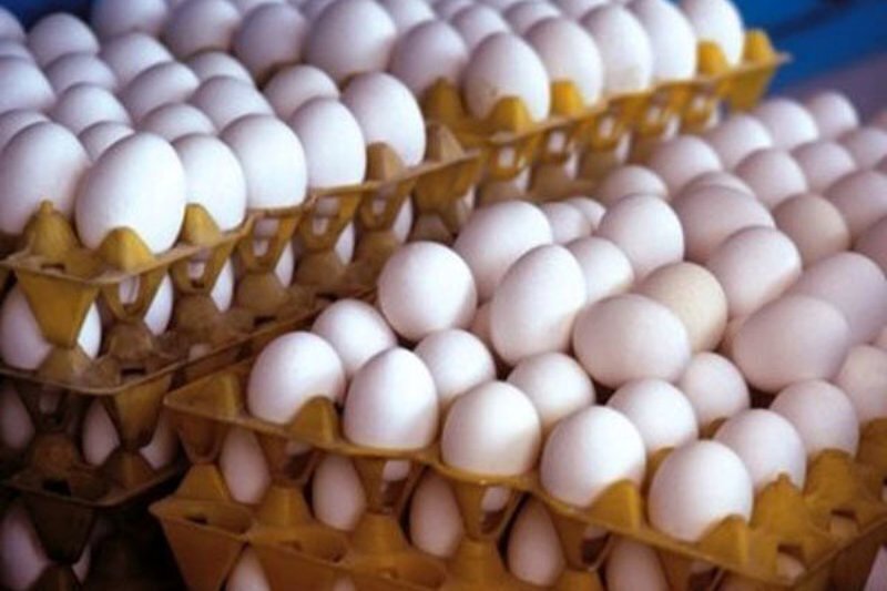 قیمت هرکیلو تخم مرغ ۱۲۰ هزار تومان