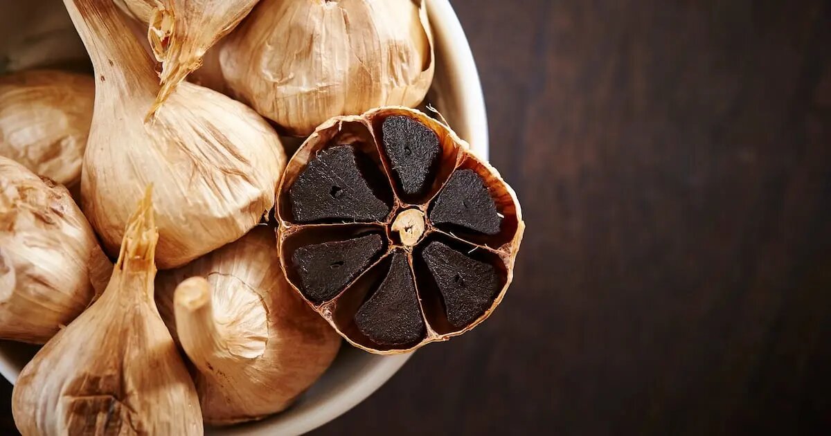 معجزه سیر کهنه؛ از چربی بدن تا فرمان قوی‌تر شدن عضلات پیر
