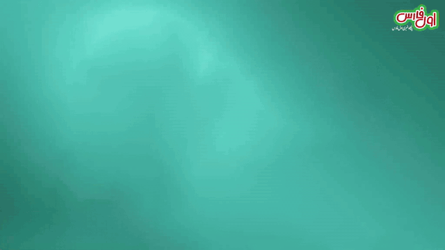 بنر تبلیغاتی رویش مهر