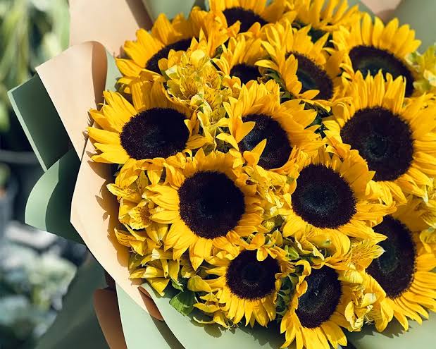 دیدن گل آفتابگردان در خواب چه تعبیر و مفهومی دارد؟