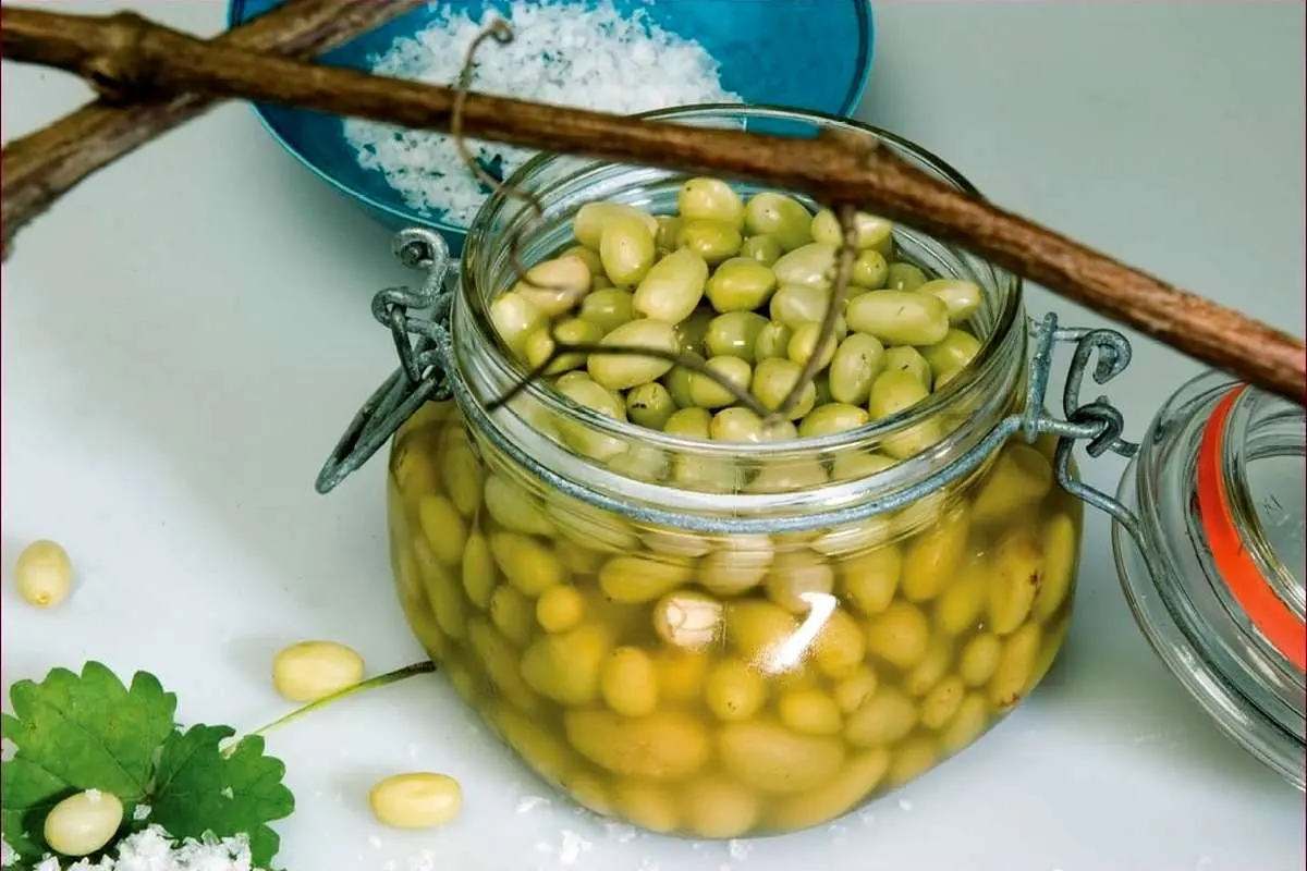 آموزش گام‌به‌گام تهیه ترشی غوره؛ چاشنی اصیل و اشتها‌آور برای فصل تابستان