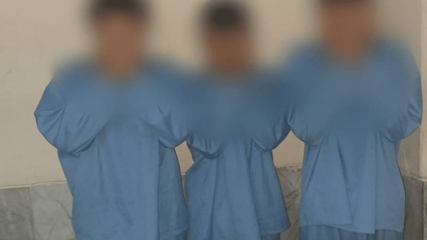 سارق باغات، منازل و ساختمان‌های در حال ساخت شیراز دستگیر شد