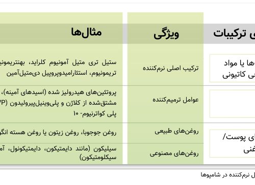 بهترین شامپو برای انواع حالت‌های مو کدام است؟