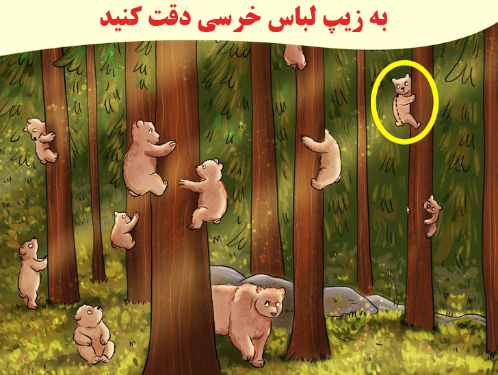 فقط 2 درصد از افراد می توانند انسان را در بین خرس ها پیدا کنند؟ پاسخ