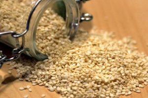آموزش کاشت سبزه کنجد برای تزیین سفره هفت سین عید نوروز 4 آموزش کاشت سبزه کنجد برای تزیین سفره هفت سین عید نوروز