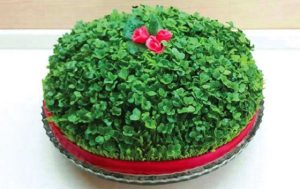 آموزش کاشت سبزه کنجد برای تزیین سفره هفت سین عید نوروز