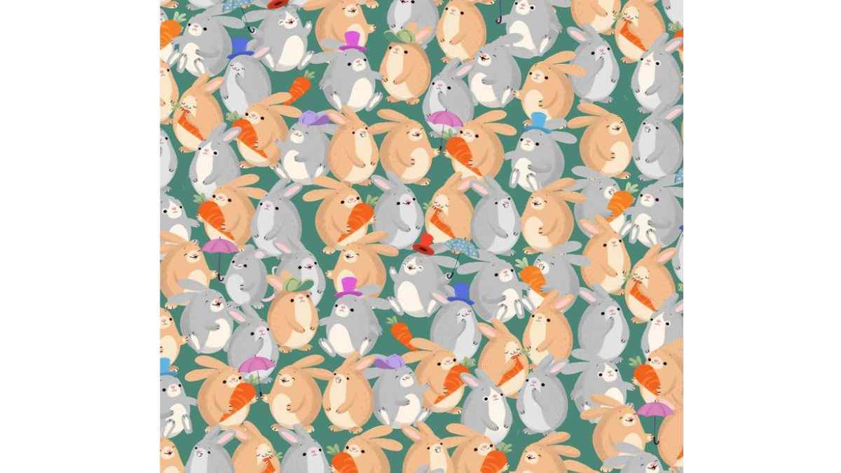 where is the fat mouse2