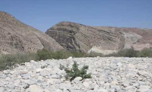 تنگه کافرینگردشسفر 7