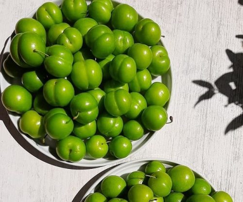 فرق گوجه سبز و آلوچه ، دلیل خوردن گوجه سبز و کسانی که نباید گوجه سبز بخورند
