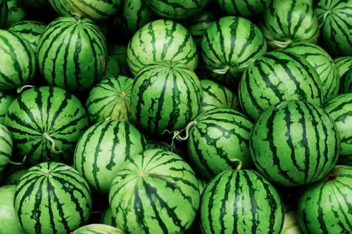 watermelon