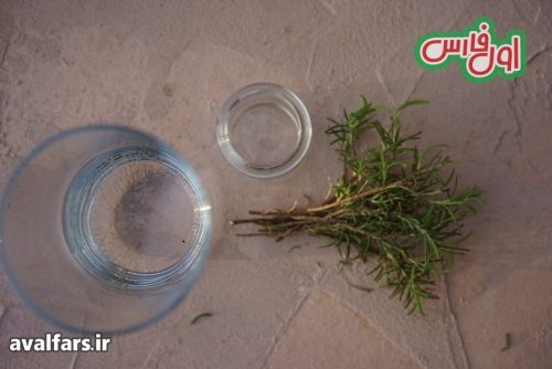 تکثیر و کاشت رزاری 7