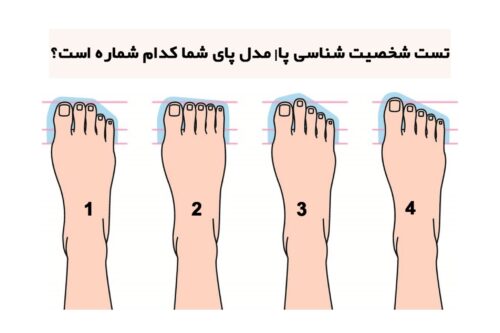 تست شخصیت شناسی 