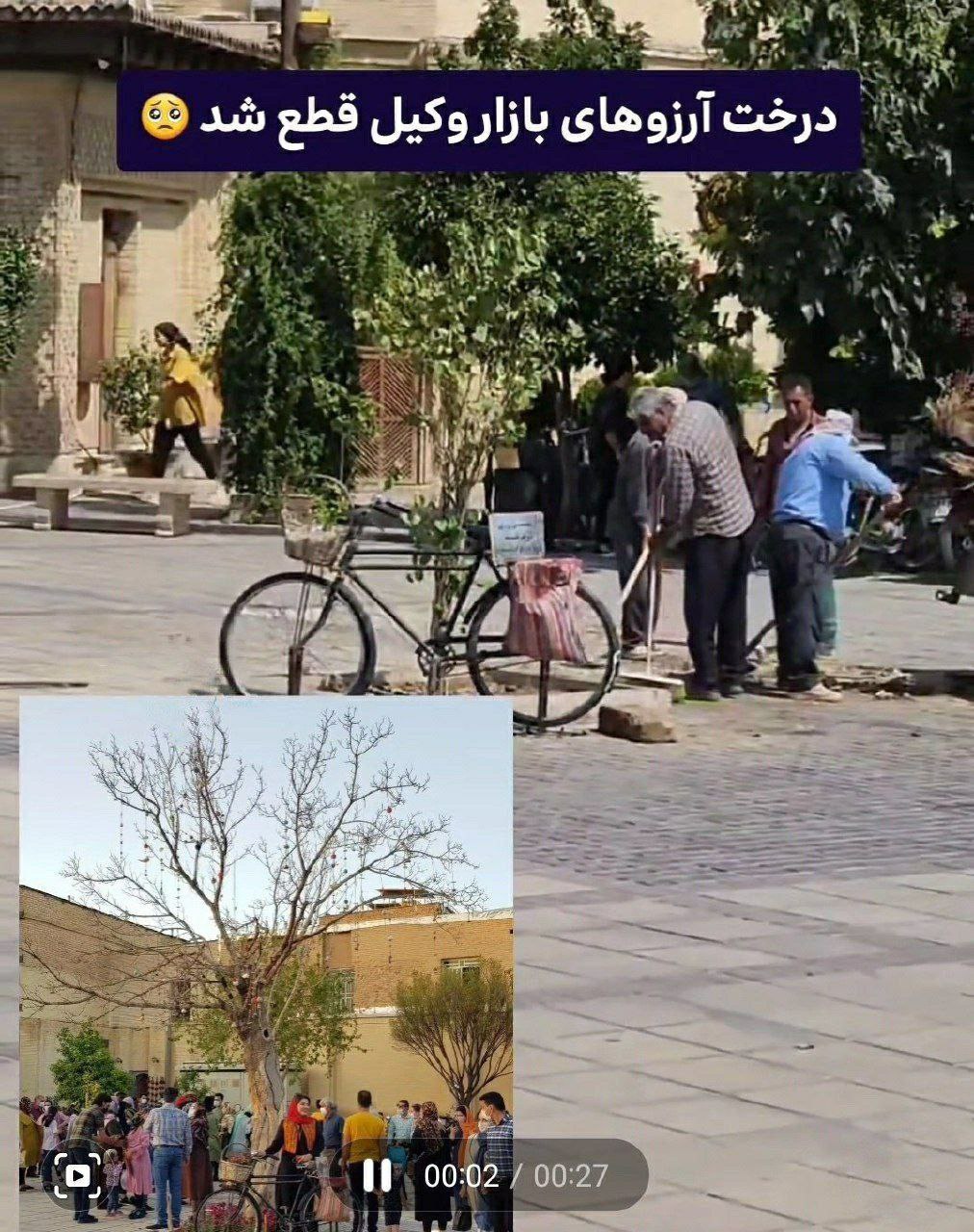 قطع درخت آرزوهای بازار وکیل