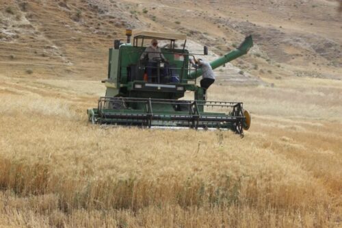  فرونشست زمین بلایی که کشاورزی دارد سر ایران می آورد