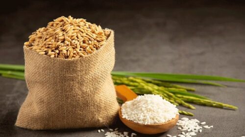لاغری سریعرژیم غذاییکاهش وزن 4