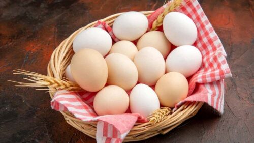 ماندگاری مواد غذایی در یخچال