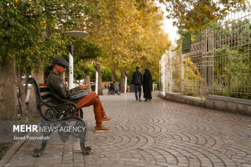 پاییز شیراز 17