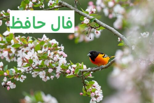 فال حافظ