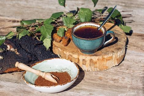 ویژگی های مفید قارچ چاگا برای افرادی که به سلامتی خیلی حساس اند