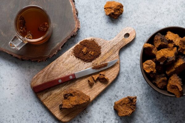 ویژگی های مفید قارچ چاگا برای افرادی که به سلامتی خیلی حساس اند