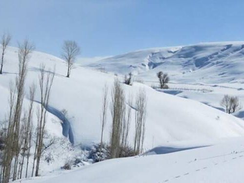 هشدار نارنجی هواشناسی به کشاورزان در مورد وضعیت هوای استان فارس