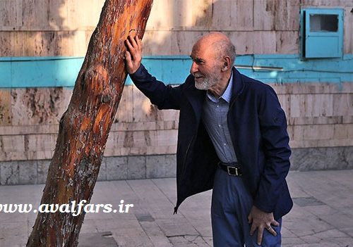 متن کامل گفتگوی بهزاد نبوی : مردم با کسی عقد اخوت نبسته اند/باید با اعتدالی‌ها ائتلاف کنیم