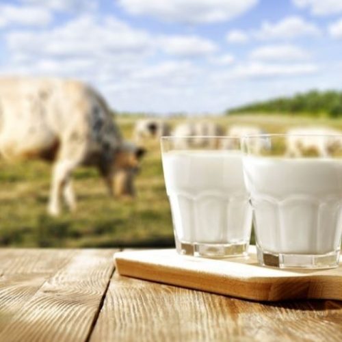 شیر خام و سؤال‌ها و پاسخ‌هایی در مورد این ماده غذایی پرمصرف