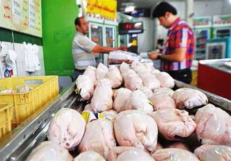 داستان بی پایان ” بالاترین کشتار مرغ در فارس، بازار خالی و مردمی که ثبت نام نمی کنند”