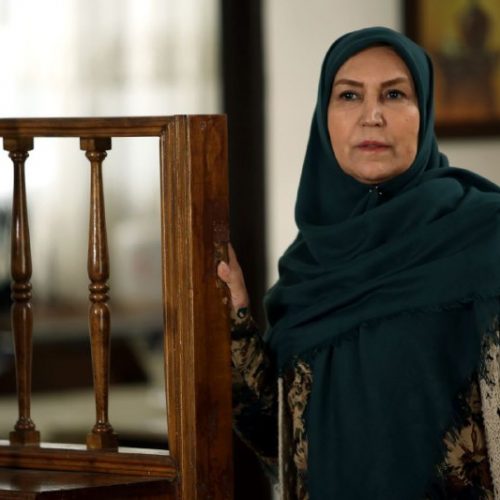 دلیل رفت و آمدهای زیاد بازیگر زن مشهور به شیراز ! +تصاویر