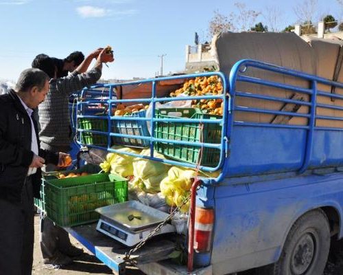 کلاهبرداری ۵ میلیاردی میوه فروش سیار از مشتریان در شیراز