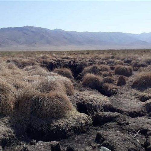 بیانیه مجمع عالی بسیج شهرستان اقلید در مورد”  معدن خاک پیت روستای بابایی “