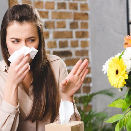 ۱۰ گل و گیاه آپارتمانی که باعث آلرژی و حساسیت می شوند